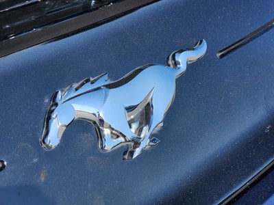 2021 Ford Mustang EcoBoost